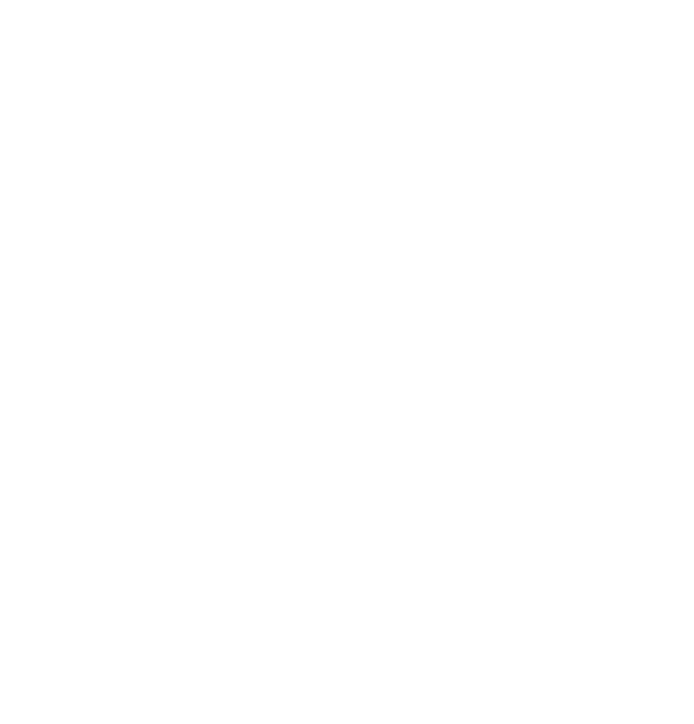 Protocollo Simmetria