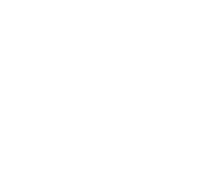 Rinascita Intestinale